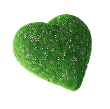 Сердце